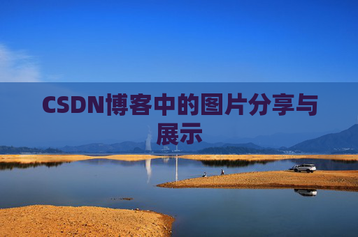 CSDN博客中的图片分享与展示